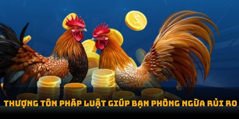 Thượng tôn pháp luật giúp bạn phòng ngừa rủi ro